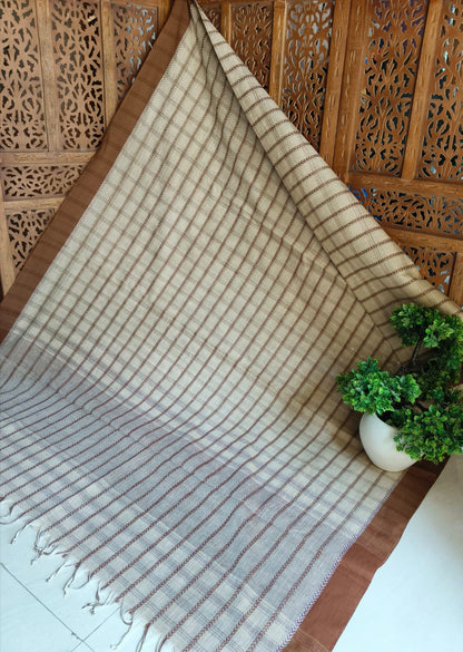 Medium Checkers Begampuri (Saree)