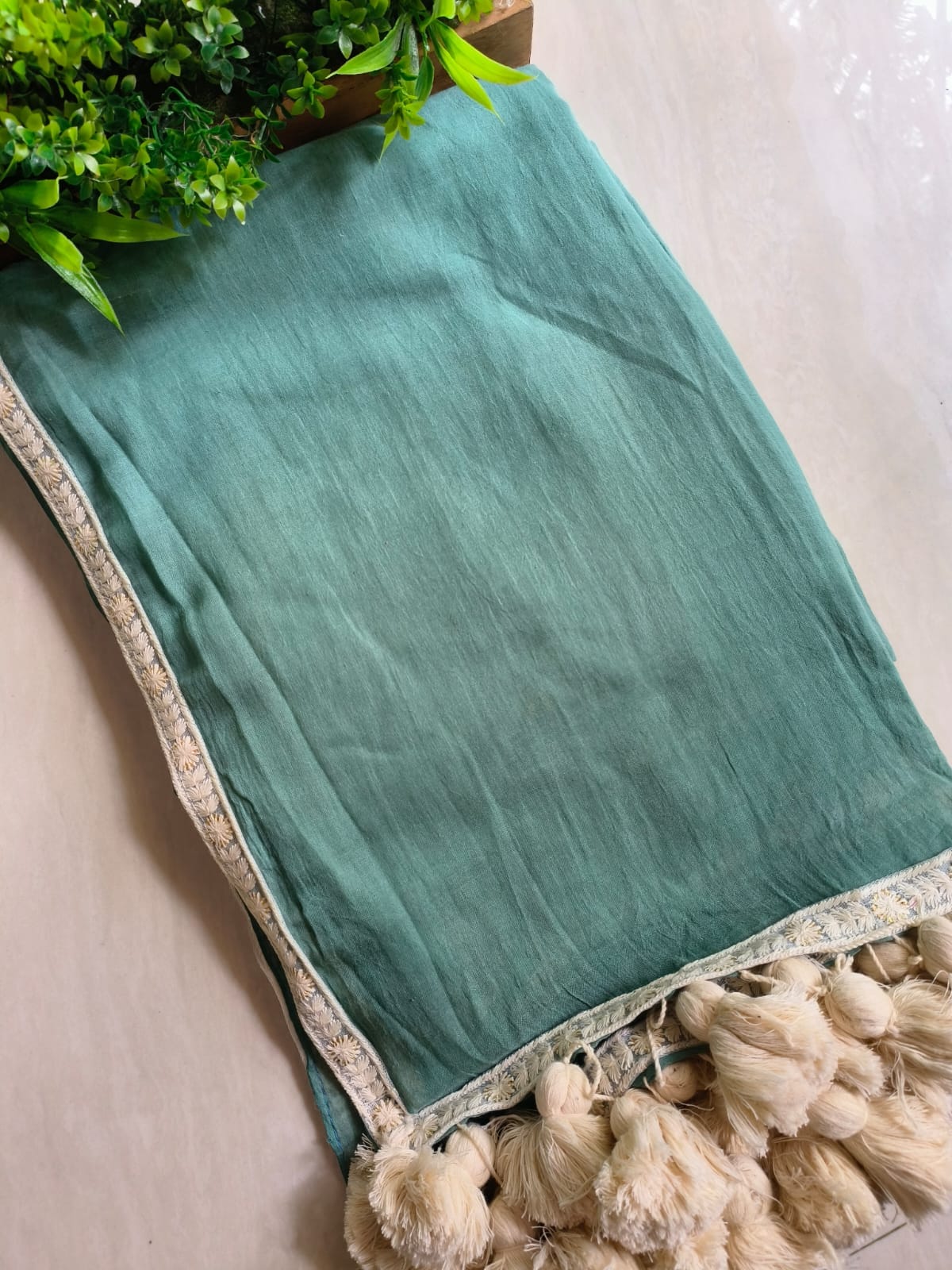 Designer Lace Mul Cotton (Saree)